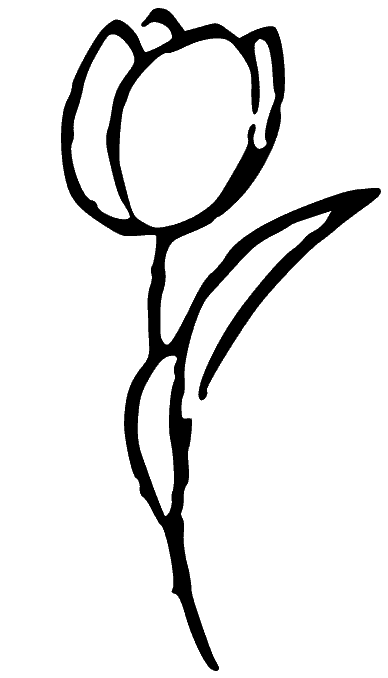 Line drawing of a tulip